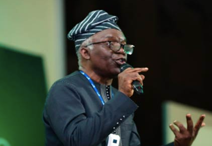 Femi Falana biography