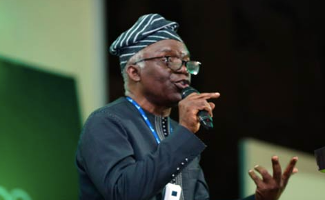 Femi Falana biography